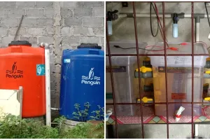 Kreatif, Taman Kanak-kanak ini gunakan instalasi air hujan layak minum