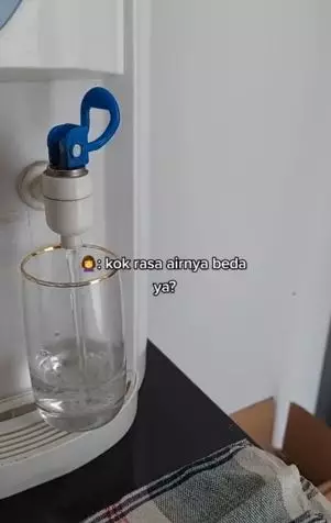 Wanita temukan kecoa pada dispensernya TikTok Wanita temukan kecoa pada dispensernya TikTok