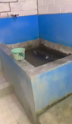 Wanita ini temukan sosok tak terduga di bak mandi TikTok