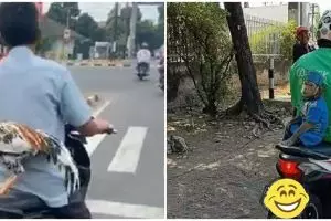 11 Momen lucu hewan diajak jalan-jalan ini penampakannya bikin heran