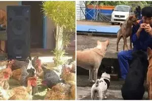 11 Momen lucu orang nyenengin hewan peliharaan, ada aja tingkahnya