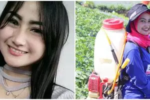 Pedangdut jadi petani, 11 momen Novi Listiana cocok tanam di sawah
