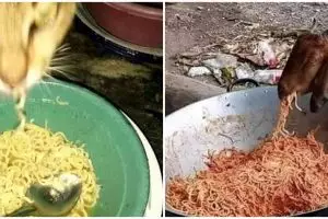 11 Potret lucu hewan doyan makan mi ini bikin heran melihatnya
