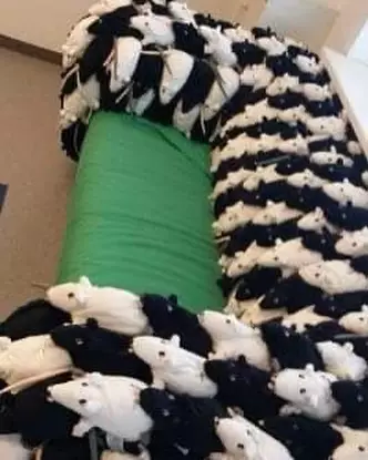 Potret nyeleneh bentuk kursi © 2022 Instagram  Potret nyeleneh bentuk kursi © 2022 Instagram