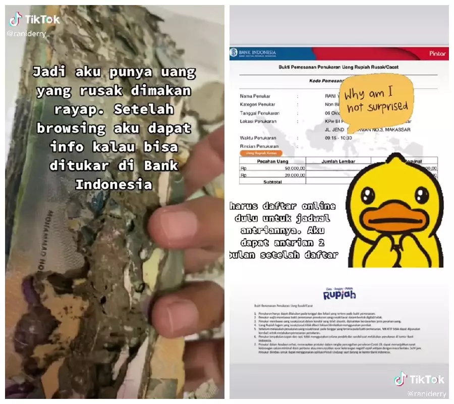 penukaran uang rusak rayap © TikTok/@raniynsh