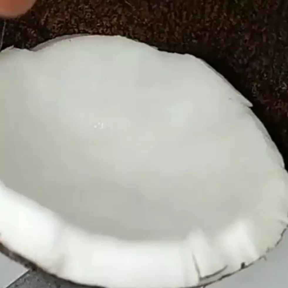 Trik melepaskan batok kelapa dari dagingnya, lebih mudah dan rapi