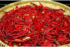 Cara mudah bikin cabai kering agar tak berubah warna dan tetap pedas