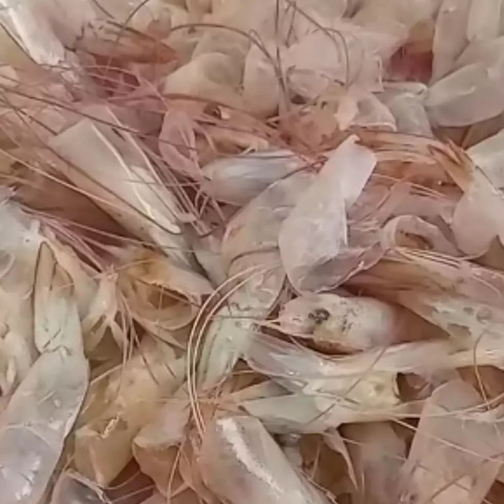 Ramah lingkungan, ini trik buang sampah kulit udang agar tak bau busuk