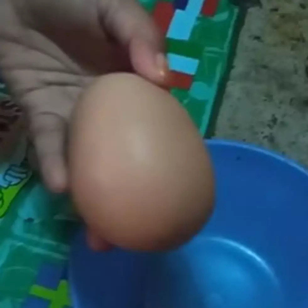 Antimainstream, telur ayam ukuran jumbo ini isinya bikin heran