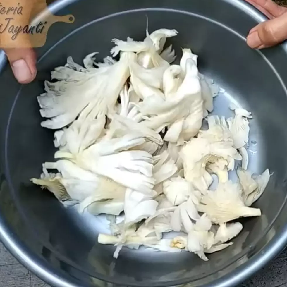 Jangan sampai salah, ini 5 cara bersihkan jamur tiram agar tidak bau