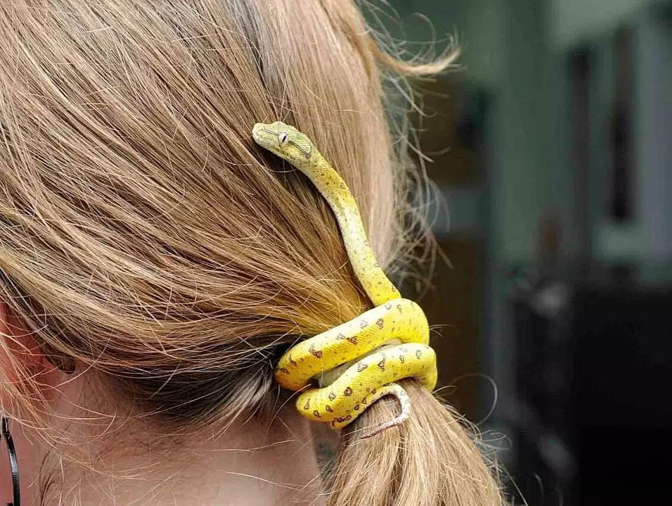 potret ikat rambut pakai benda tak biasa © berbagai sumber