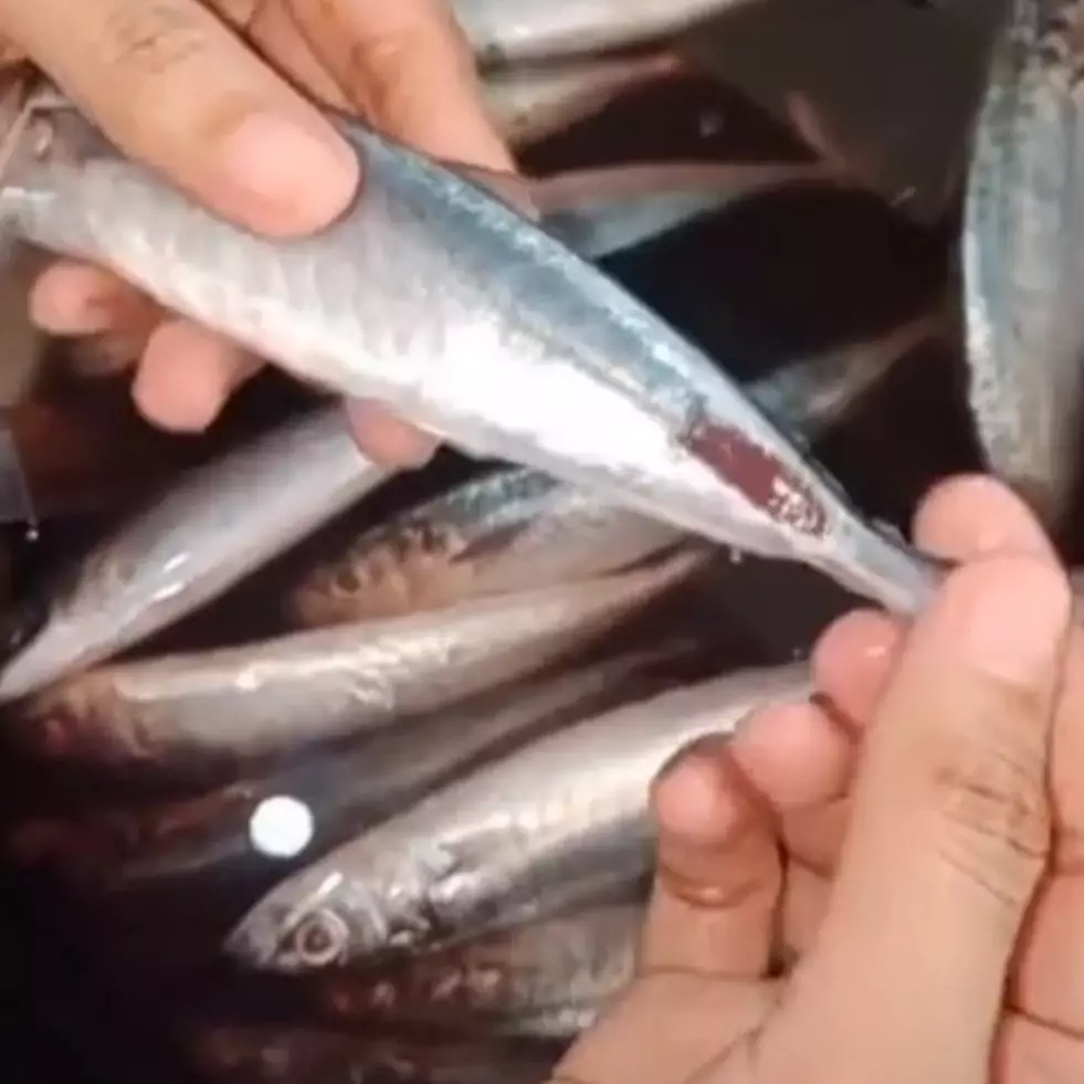 5 Cara simpel cabut tulang ikan dari dagingnya, tak perlu dibelah
