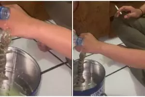 Cara pria lepaskan gigitan tokek dari jarinya ini bikin geregetan