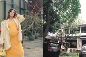 Harus lewati jalan setapak, intip 11 penampakan kantor Tasya Farasya