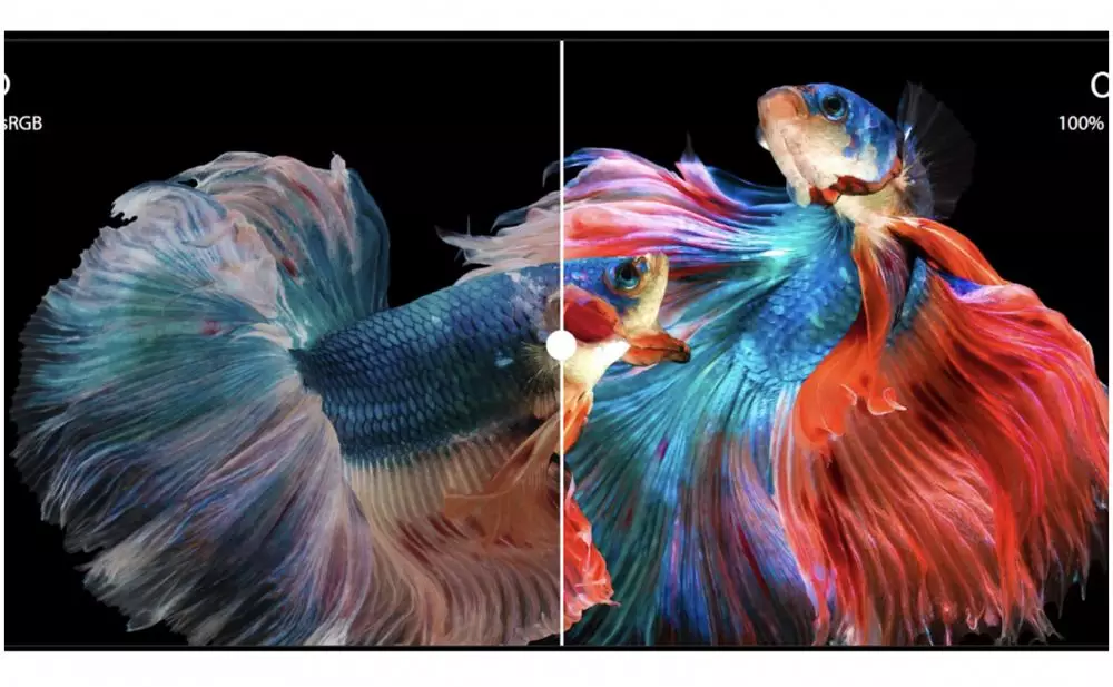 Alasan memilih ASUS Vivobook Pro 14 OLED © ASUS