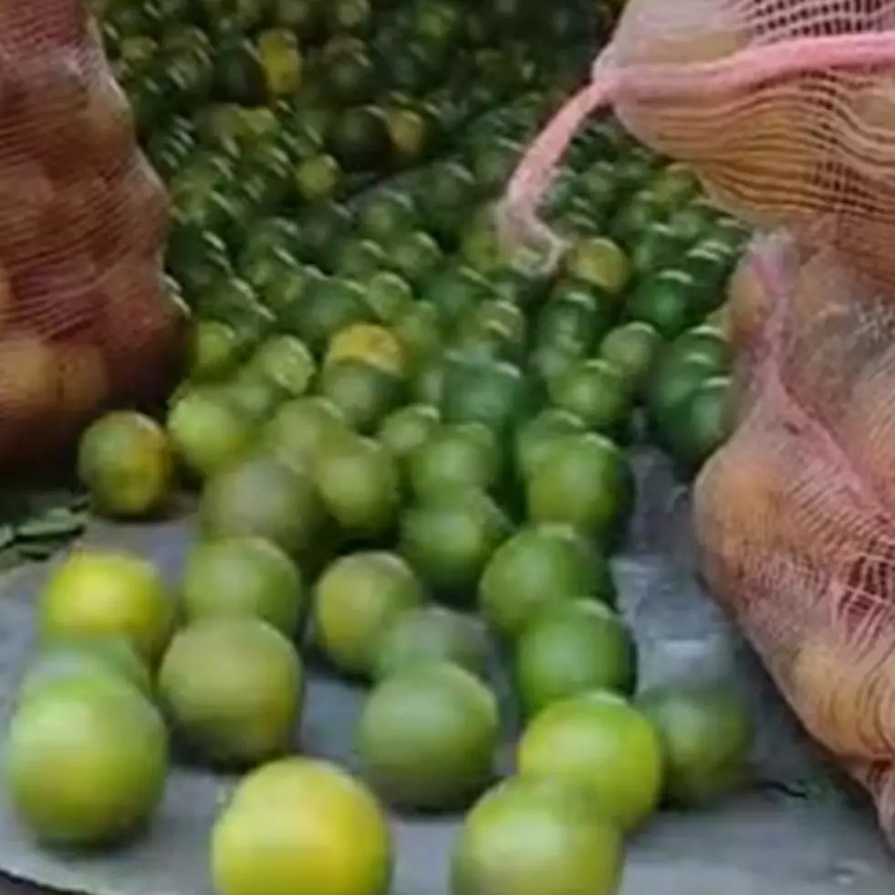 Cara menurunkan tumpukan jeruk dari truk ini kreatif, tak bikin capek