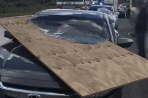 17 Momen lucu mobil ketiban benda tak terduga, bikin gigit jari