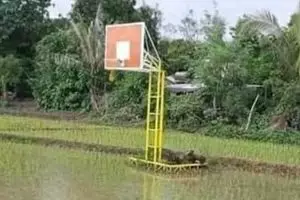 13 Potret lucu salah taruh benda di sawah, penampakannya bikin mikir