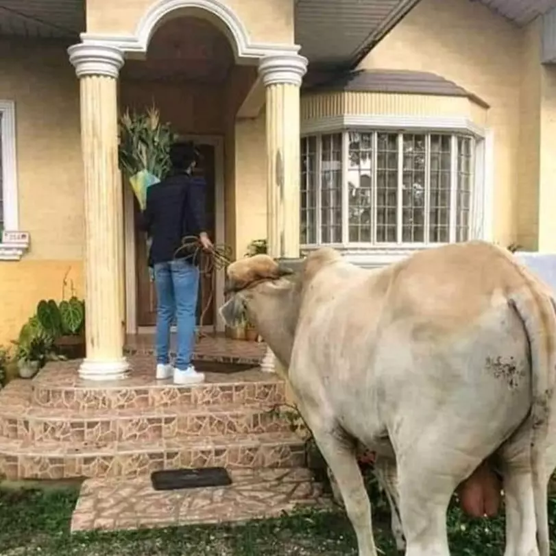 11 Momen lucu cowok mau ngasih kejutan, bawa hadiah tak terduga