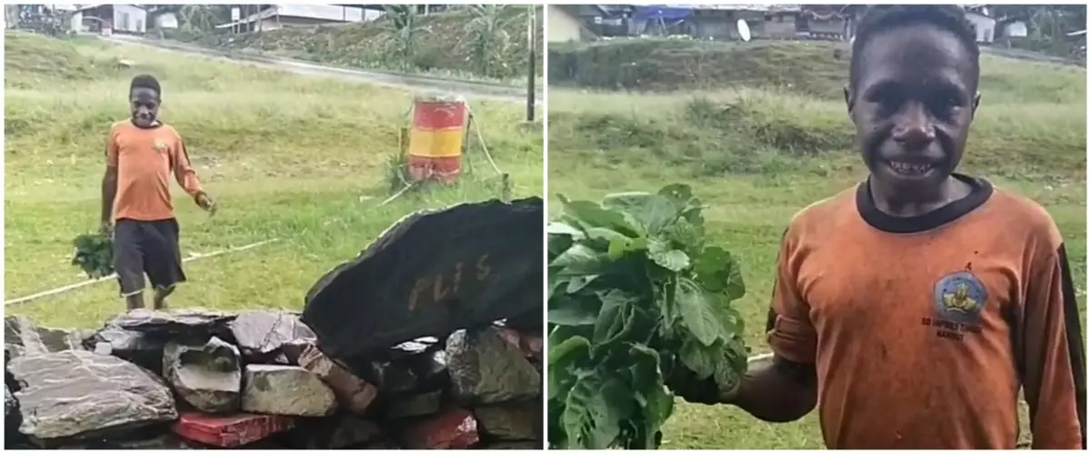 Perjuangan bocah Papua tukar bayam dengan mi instan, bikin terenyuh