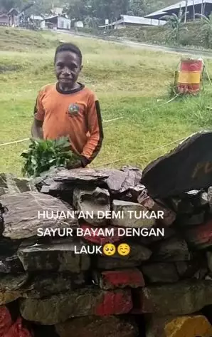 Perjuangan bocah Papua tukar bayam dengan mi instan TikTok