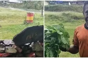 Perjuangan bocah Papua tukar bayam dengan mi instan, bikin terenyuh