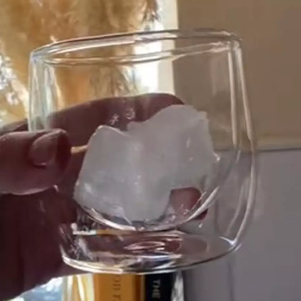 Nggak banyak yang tahu, ini trik bikin es batu cepat beku