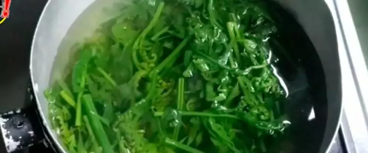 Trik mengolah daun pakis agar getahnya hilang dan tetap berwarna hijau