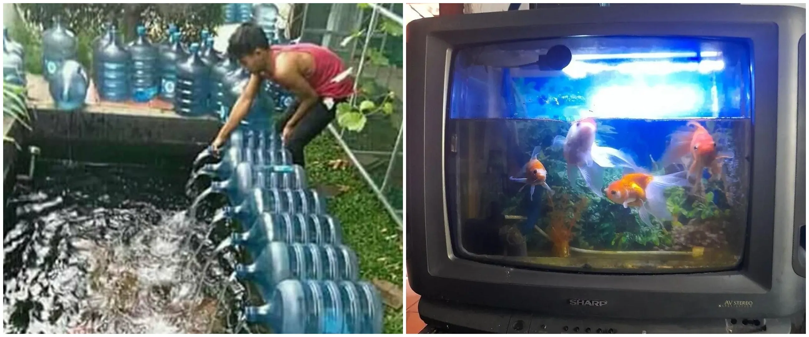 11 Life hack bikin hiasan kolam ikan ini kreatifnya nggak ada lawan
