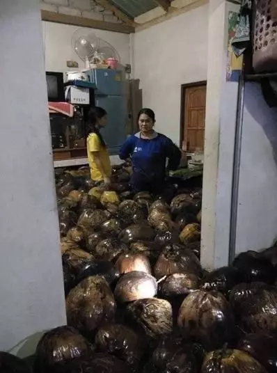 Rumah dipenuhi kelapa setelah banjir TikTok