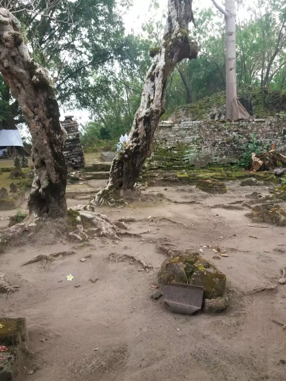 Miliki kisah cinta pilu, begini asal-usul makam Ratu Malang Yogyakarta © 2022 brilio.net