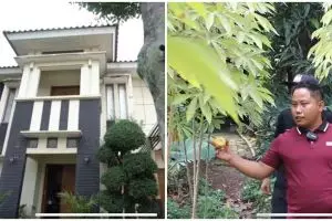 15 Potret rumah Narji yang jadi petani, kebun seluas lapangan bola