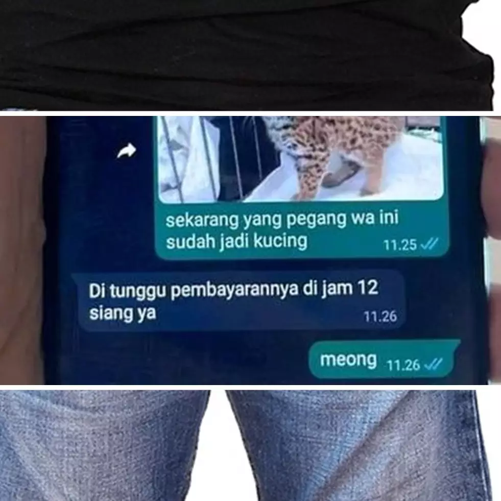 17 Tipe-tipe orang ditagih utang lewat chat ini bikin senyum kecut