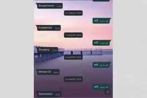 11 Chat WA orang kirim pesan yang sama berkali-kali ini kocak abis