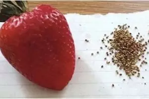 13 Kegiatan unfaedah ketika senggang yang bikin garuk kepala