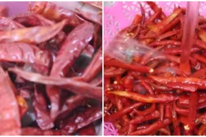 5 Cara membuat cabai kering menjadi segar kembali, mudah ditiru