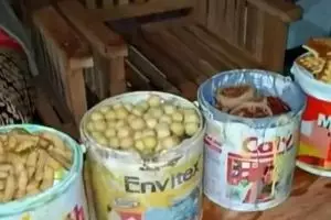 11 Wadah untuk sajikan makanan ini bikin geleng kepala