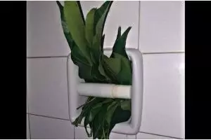 11 Potret lucu tisu toilet ini bikin yang pakai mikir dua kali