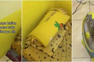 Pencinta kuning garis keras, penampakan kamar kos ini bikin melongo