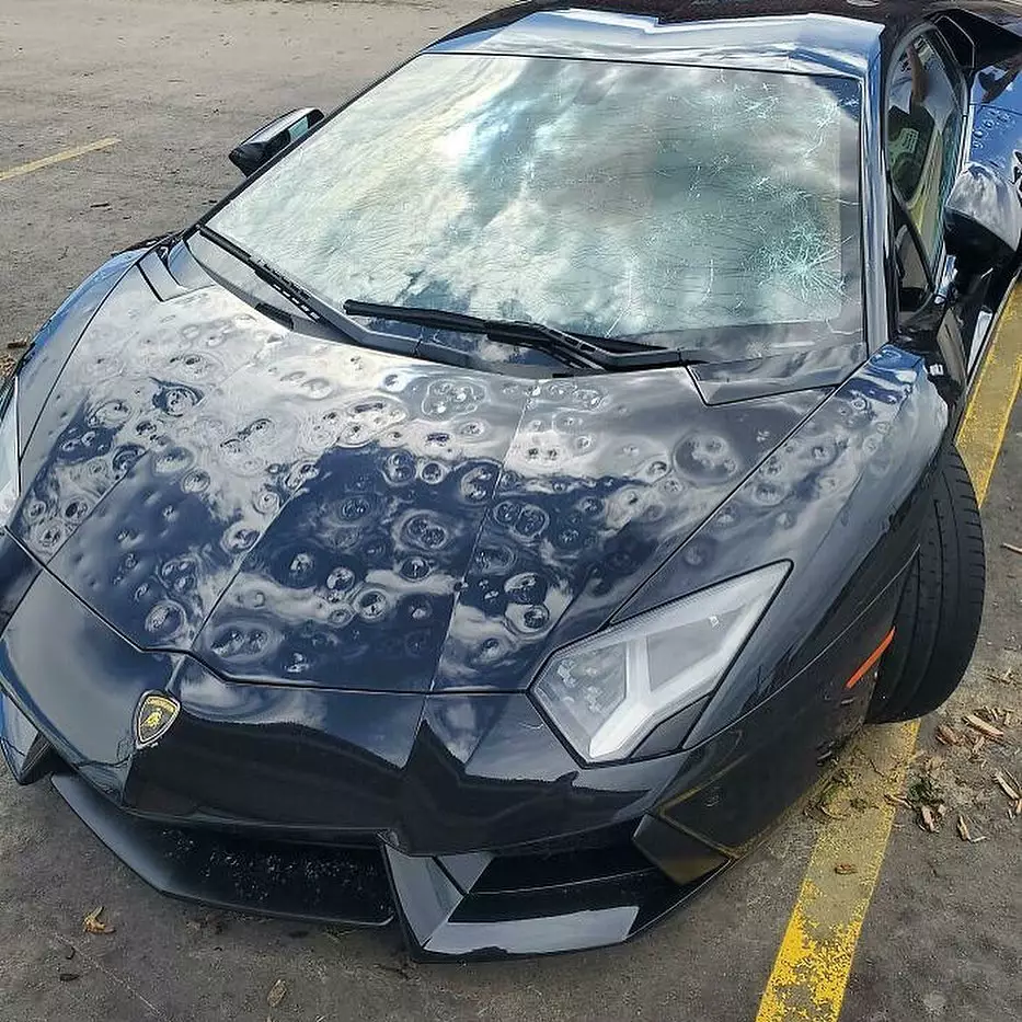 momen apes mobil parkir © berbagai sumber