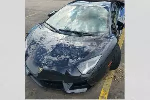 17 Momen apes saat mobil sedang parkir ini bikin elus dada lihatnya