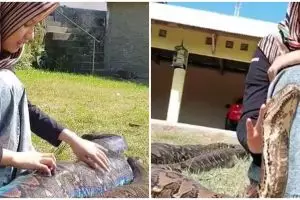 Bak sahabatan, 9 potret gadis berhijab asyik santai bareng ular jumbo