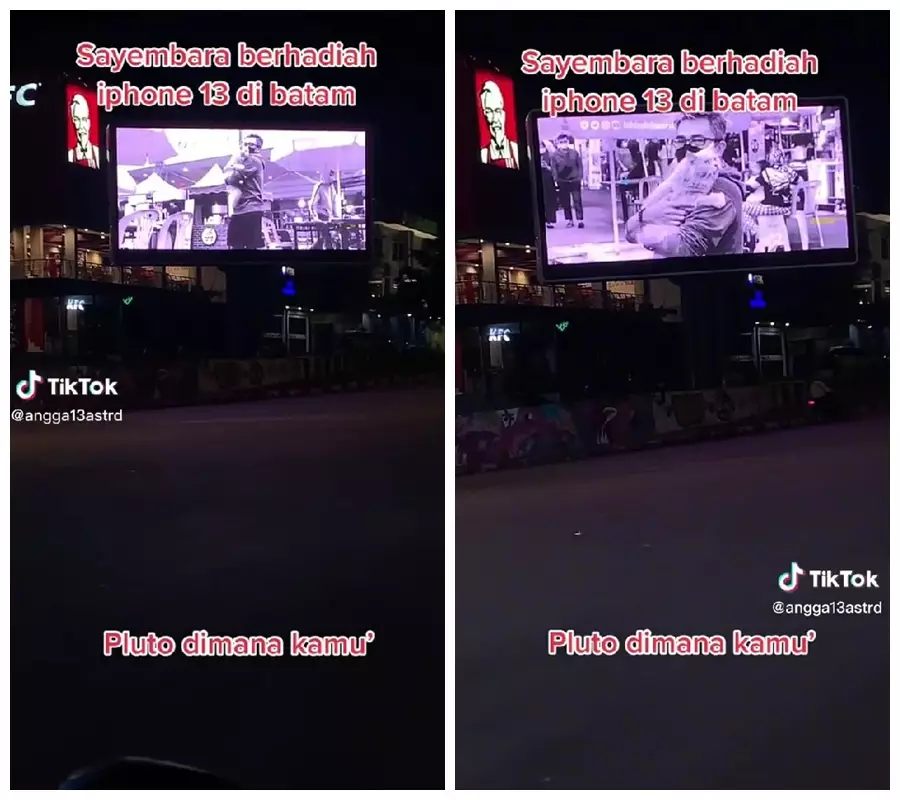 kucing hilang hadiah iPhone © berbagai sumber kucing hilang hadiah iPhone © berbagai sumber