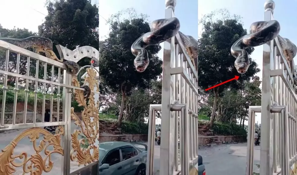 ular di atas pagar © berbagai sumber ular di atas pagar © berbagai sumber