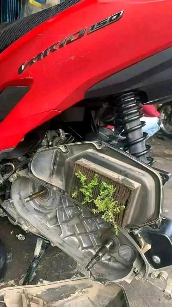 potret kendaraan ditumbuhi tanaman © berbagai sumber potret kendaraan ditumbuhi tanaman © berbagai sumber