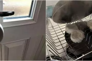 11 Cara nyeleneh atasi masalah gunakan benda seadanya ini kocak abis