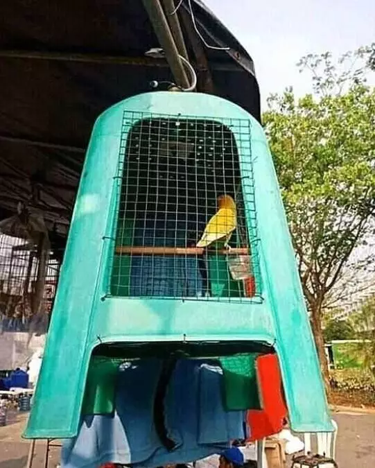 Cara nyeleneh orang siasati kursi plastik © 2022 Instagram Cara nyeleneh orang siasati kursi plastik © 2022 Instagram