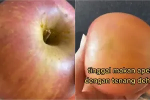 Bukan langsung dibilas air, begini trik menghilangkan lapisan lilin pada buah apel