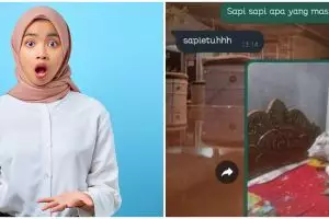 11 Chat dikira bercanda ternyata serius ini plot twist-nya bikin melongo