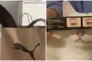 Diambil di momen yang tepat, 11 foto nggak sengaja ini bisa pas sama benda sekitar